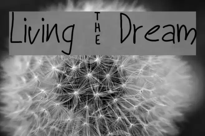 Living _ Dream Font examples