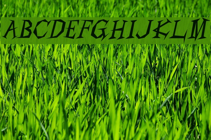 Living by Numbers Font examples