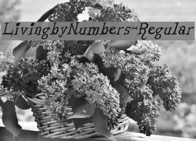 LivingbyNumbers-Regular Font examples