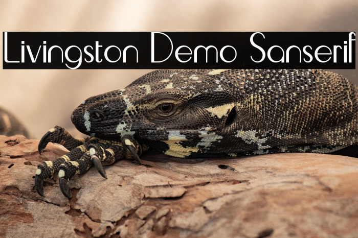 Livingston Demo Sanserif Example 2