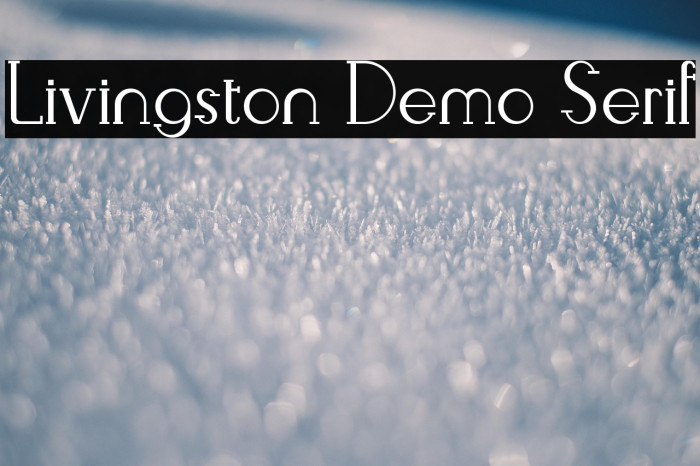 Livingston Demo Serif Example 1