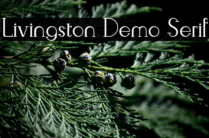 Livingston Demo Serif Example 2