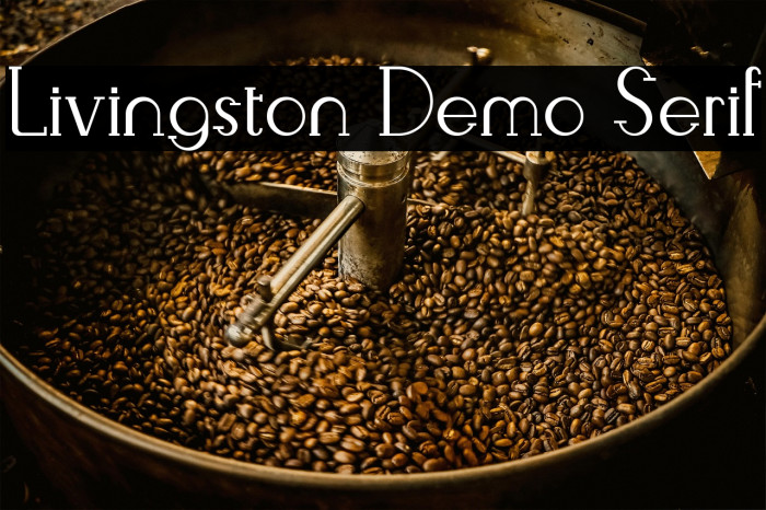 Livingston Demo Serif Example 3