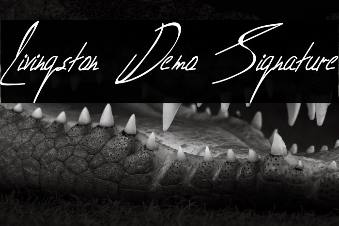 Livingston Demo Signature Example 2