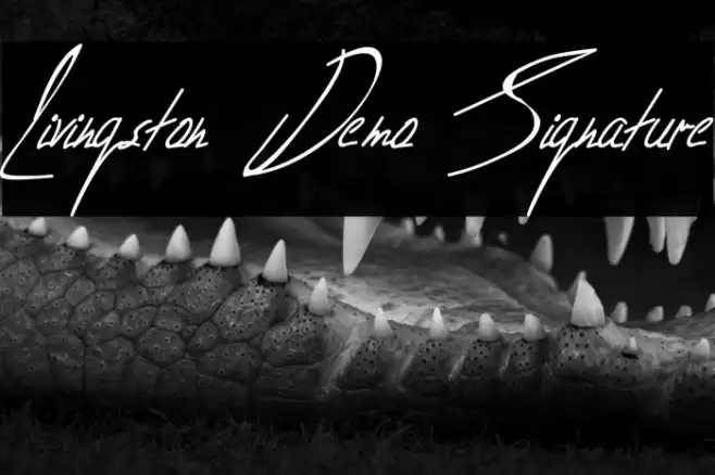 Livingston Demo Signature Font examples