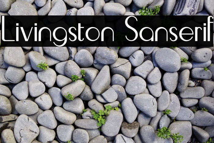 Livingston Sanserif Example 1