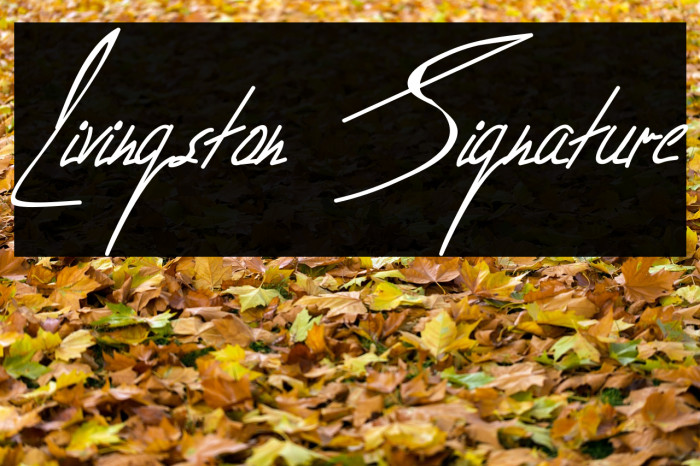 Livingston Signature Font examples