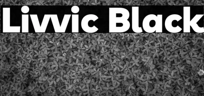 Livvic Black Font examples