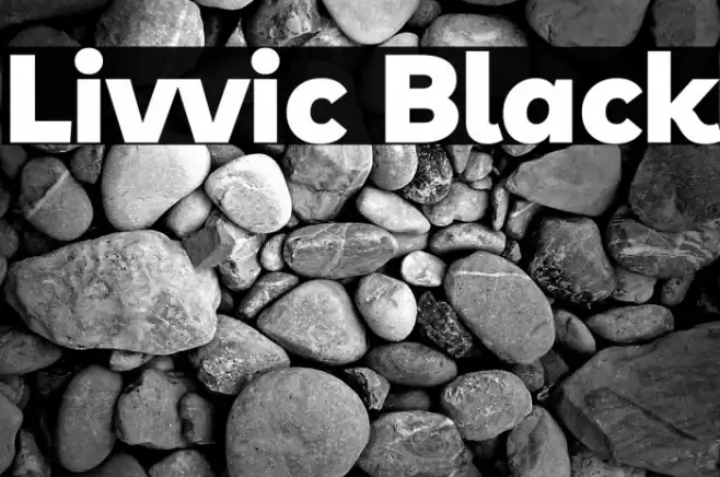 Livvic Black Font examples