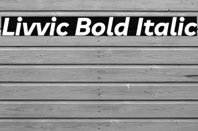 Livvic Bold Italic Example 1