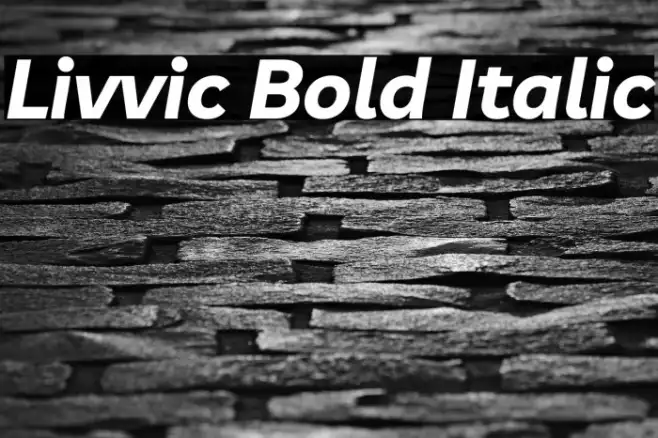 Livvic Bold Italic Example 3