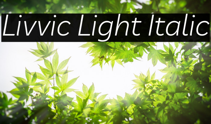 Livvic Light Italic Font examples