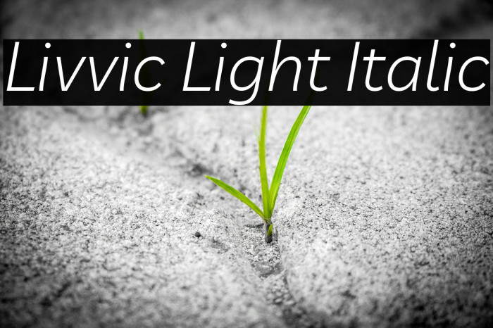 Livvic Light Italic Font examples