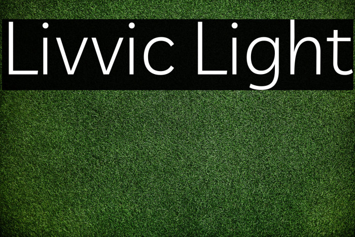 Livvic Light Font examples