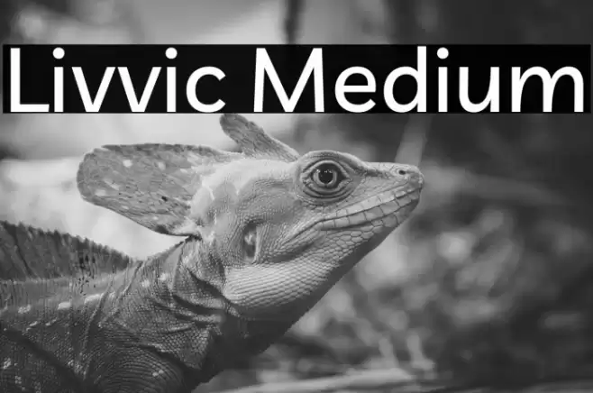 Livvic Medium Font examples