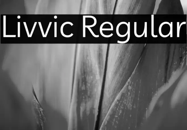 Livvic Regular Font examples