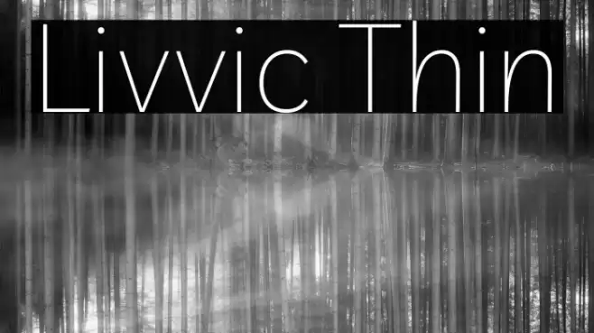 Livvic Thin Font examples
