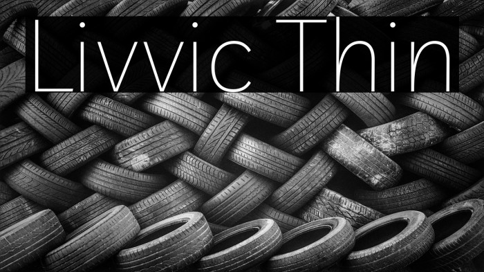 Livvic Thin Example 2