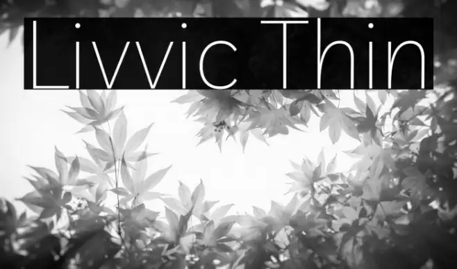 Livvic Thin Font examples