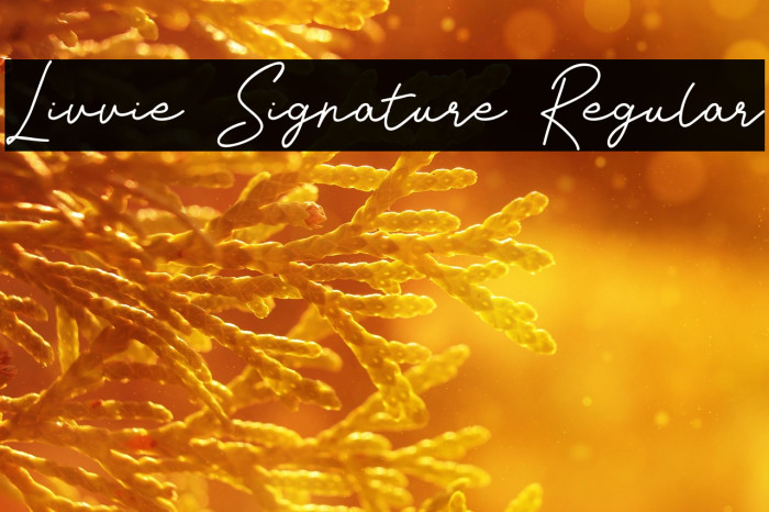 Livvie Signature Regular Example 1
