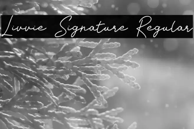 Livvie Signature Regular Font examples