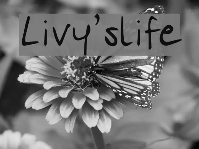 Livy'slife Font examples