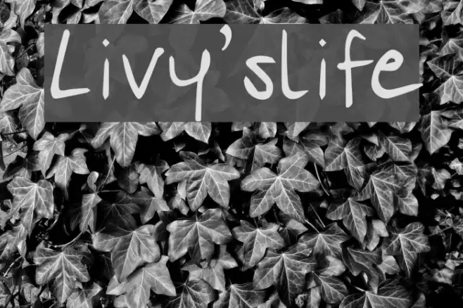 Livy'slife Font examples