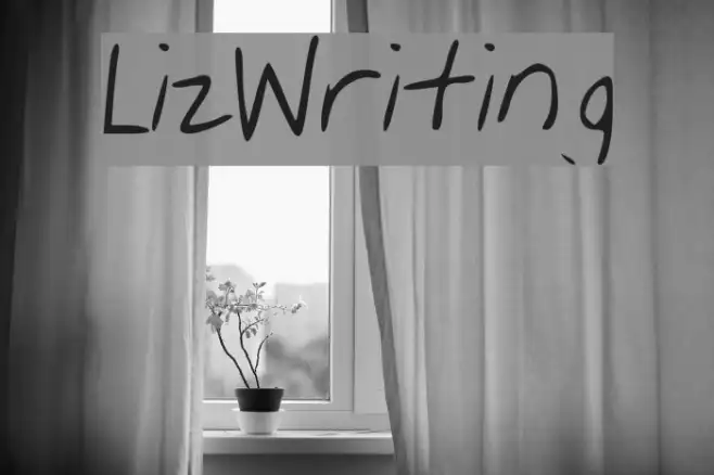 Liz_Writing Example 3