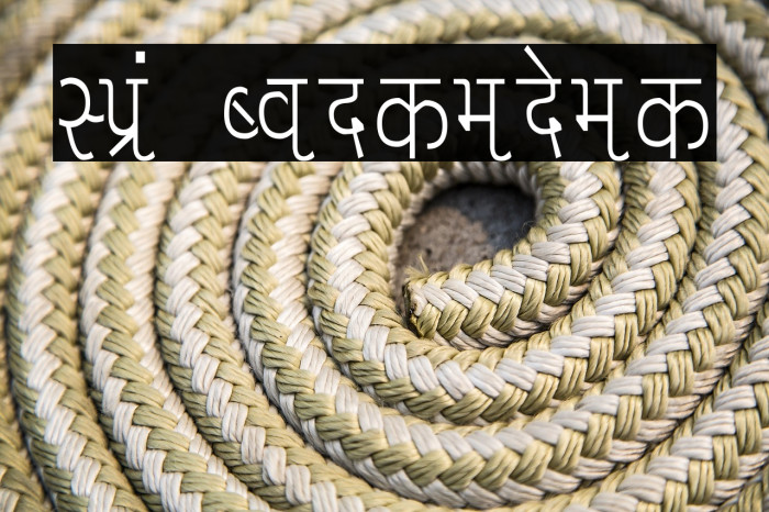 Liza Condensed Example 1