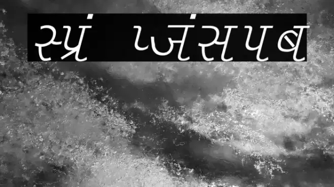 Liza Italic Font examples