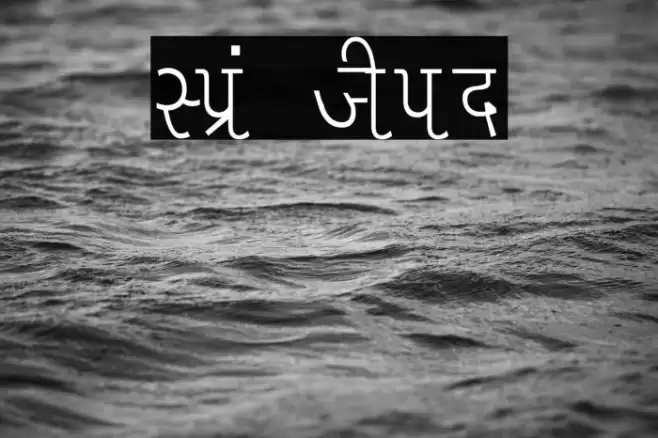 Liza Thin Font examples