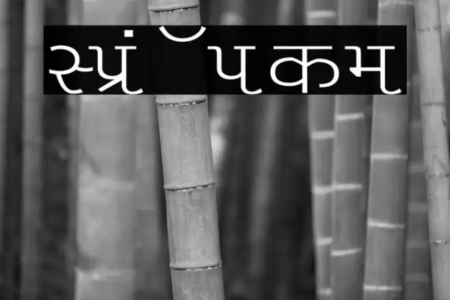 Liza Wide Font examples