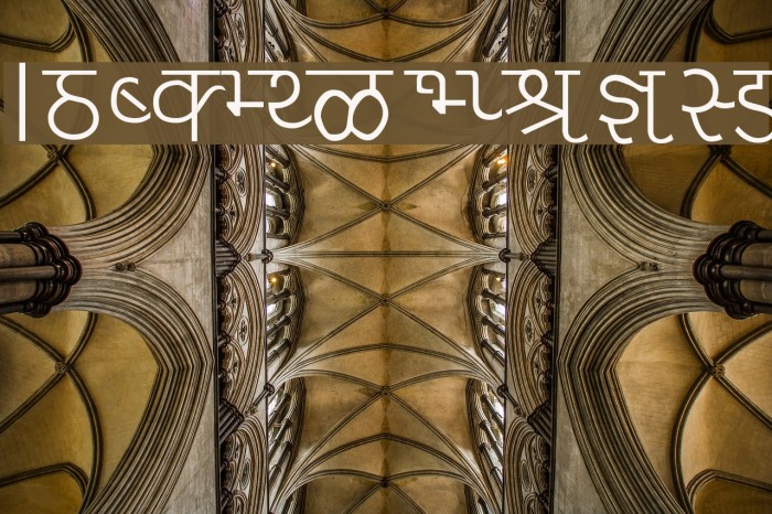 Liza Font examples
