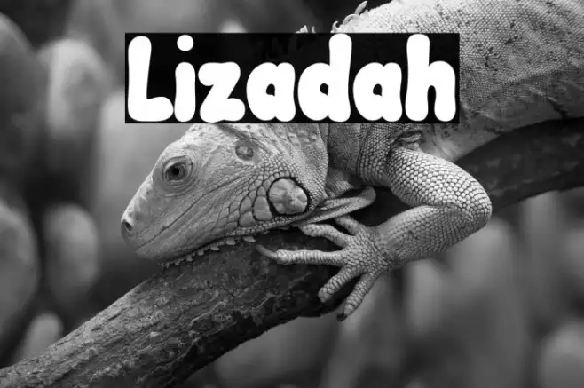 Lizadah Example 1