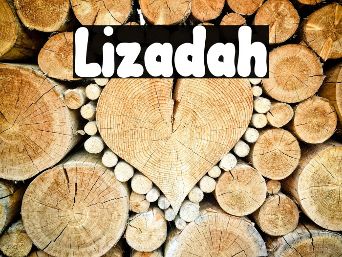 Lizadah Example 2