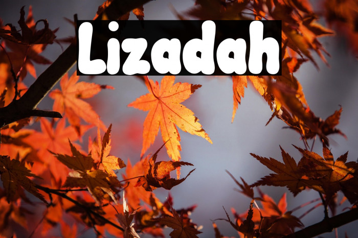 Lizadah Example 3