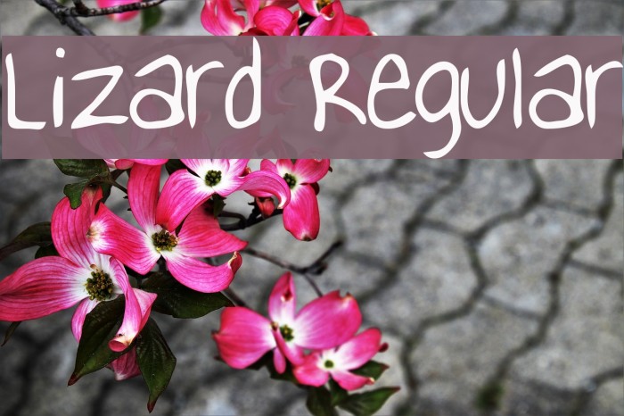 Lizard Regular Font examples