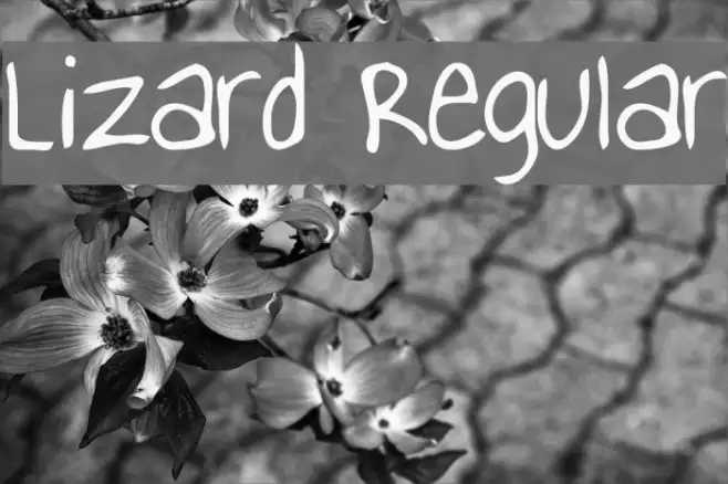 Lizard Regular Example 2