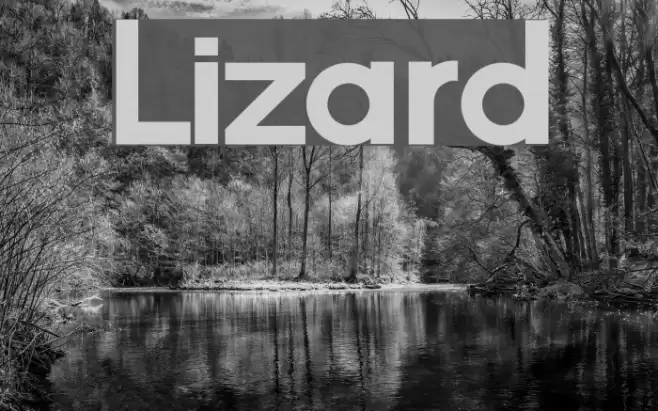 Lizard Font examples