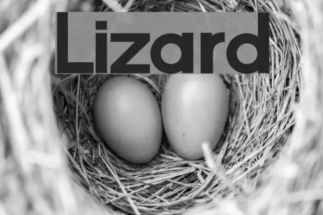 Lizard Font examples