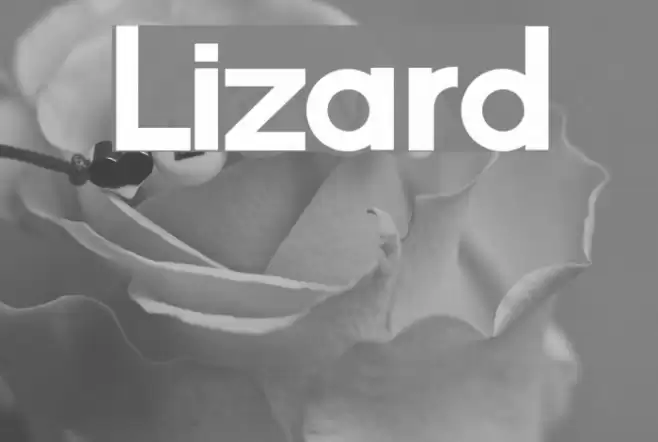 Lizard Font examples