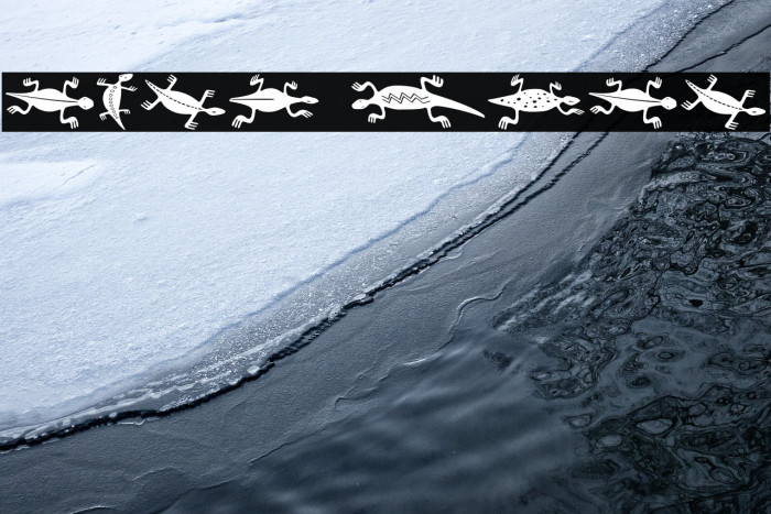 Lizards Regular Example 1