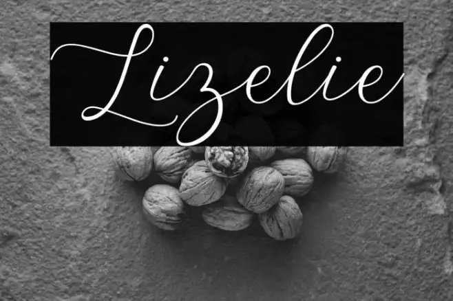 Lizelie Example 1