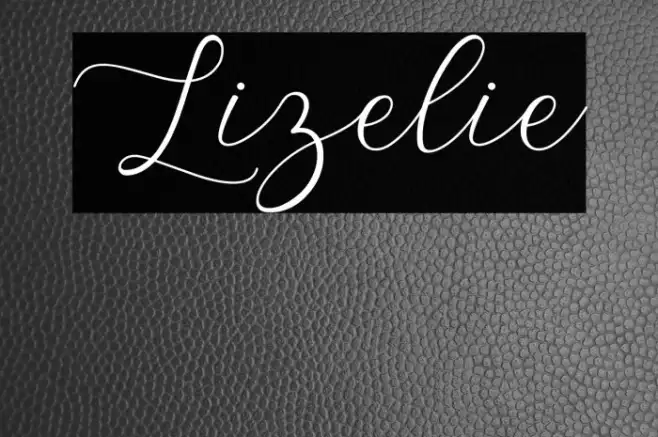 Lizelie Example 2