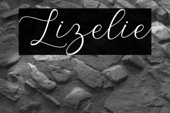 Lizelie Example 3