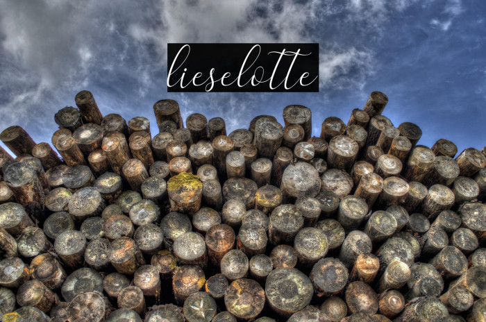 lieselotte Example 2