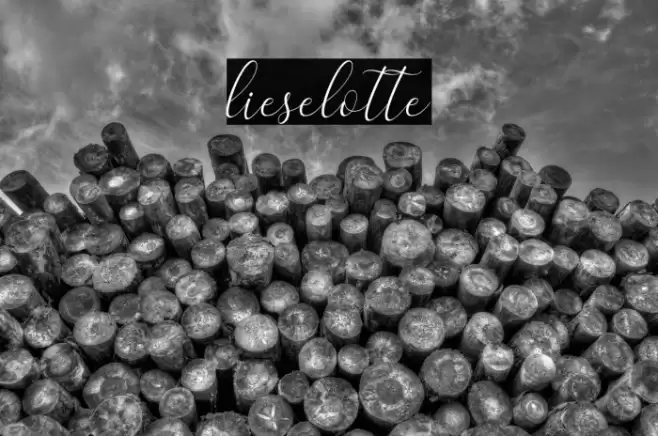 lieselotte Font examples