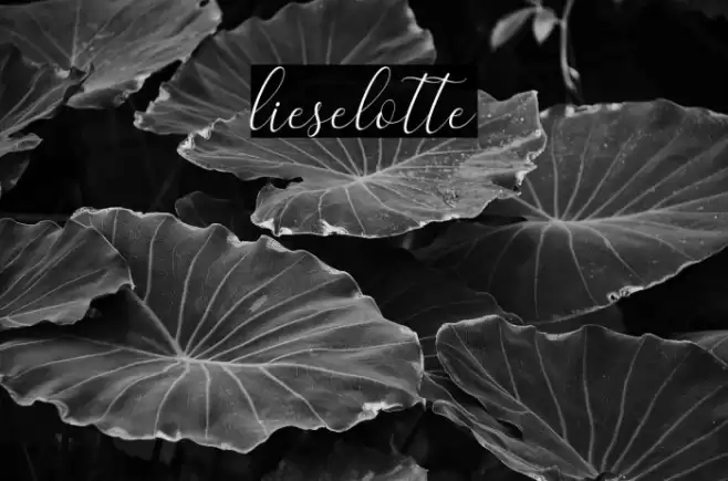 lieselotte Font examples