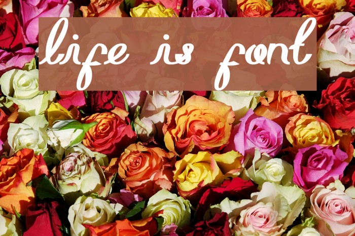 life is font Font examples