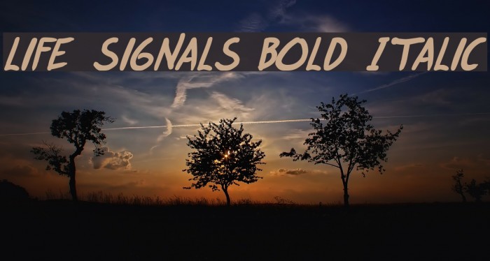 life signals Bold Italic Font examples